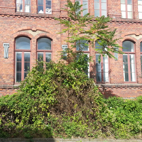 Foto vom Gebäude am Standort in Steinfurt. Zu sehen ist das alte Fabrikgebäude.